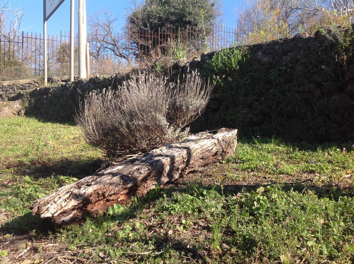 Le Cisterne Dell'Etna Hotel Calcerana-Marina Buitenkant foto